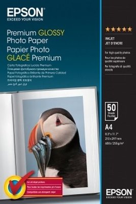 Photo Paper A4 255gr 50 sheets Epson Premium Glossy 110724 фото